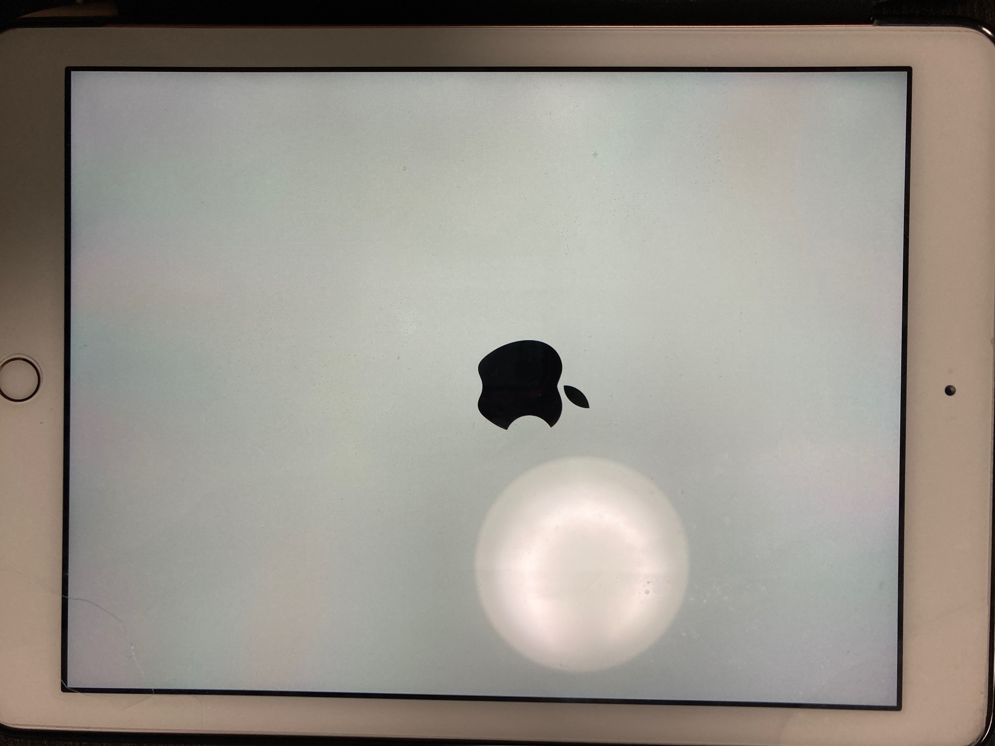 Ipadがアップルマーク画面でフリーズ Apple コミュニティ