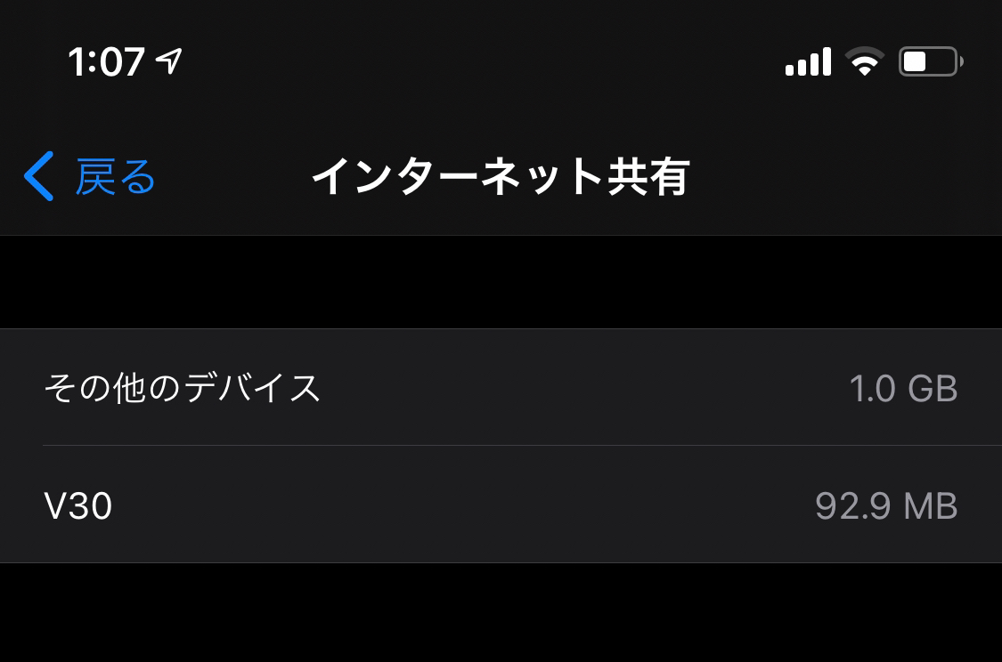 インターネット共有 その他のデバイス 容量が大きい